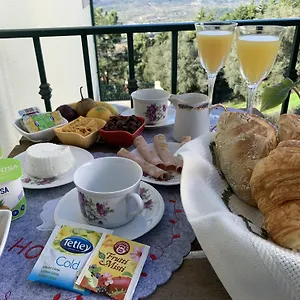  Couette-café Deluxe Com Terraço E Varanda Privada - 'casinha Da Amoreira' Portugal